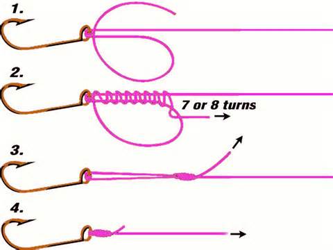 What’s up with Line Knots