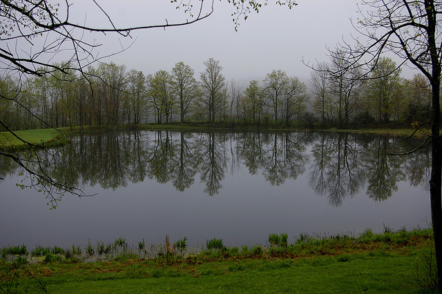 Pond Hopping