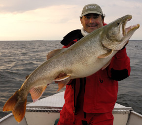 Are lake trout releasable? 